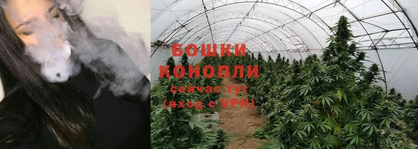 бошки Ладушкин